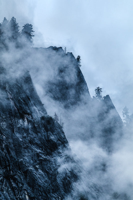 Fine Art Prints
