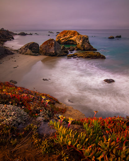 Landscapes and Nature