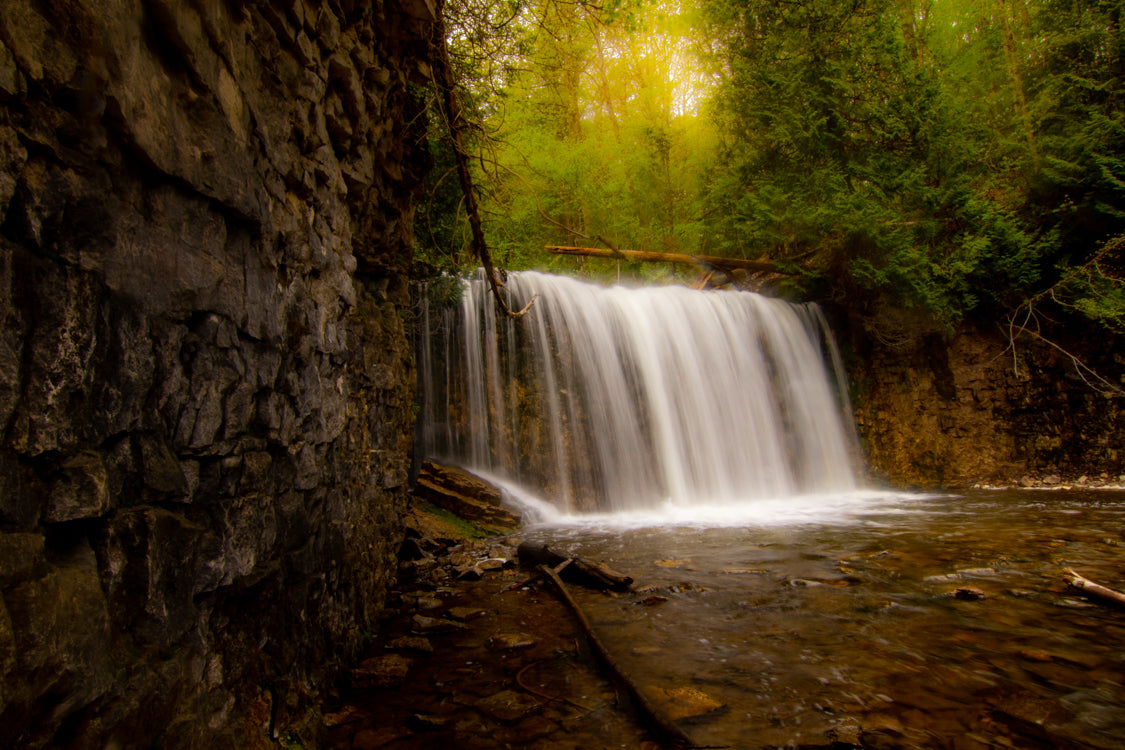 Fine Art Prints