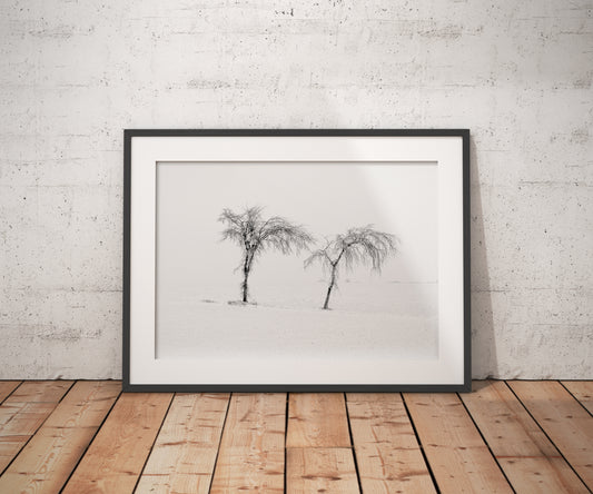 Canadian Collection - Framed