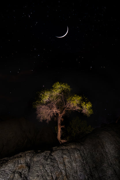 Landscapes and Nature