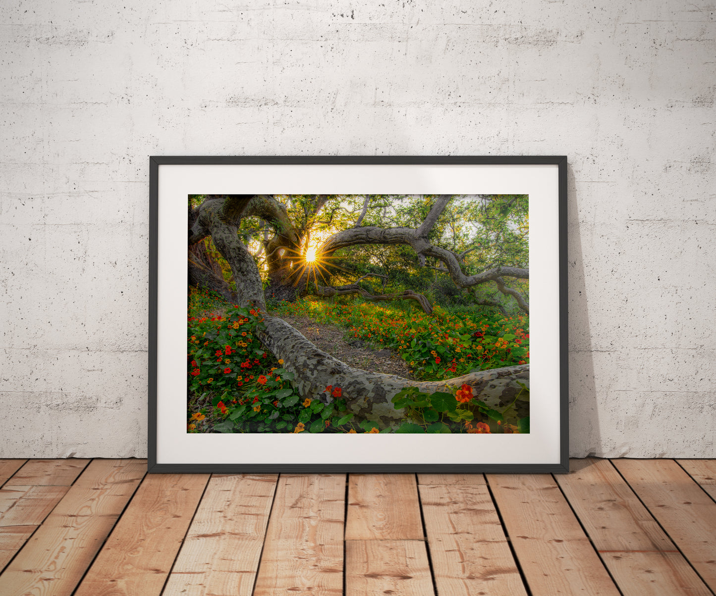 California Collection - Framed